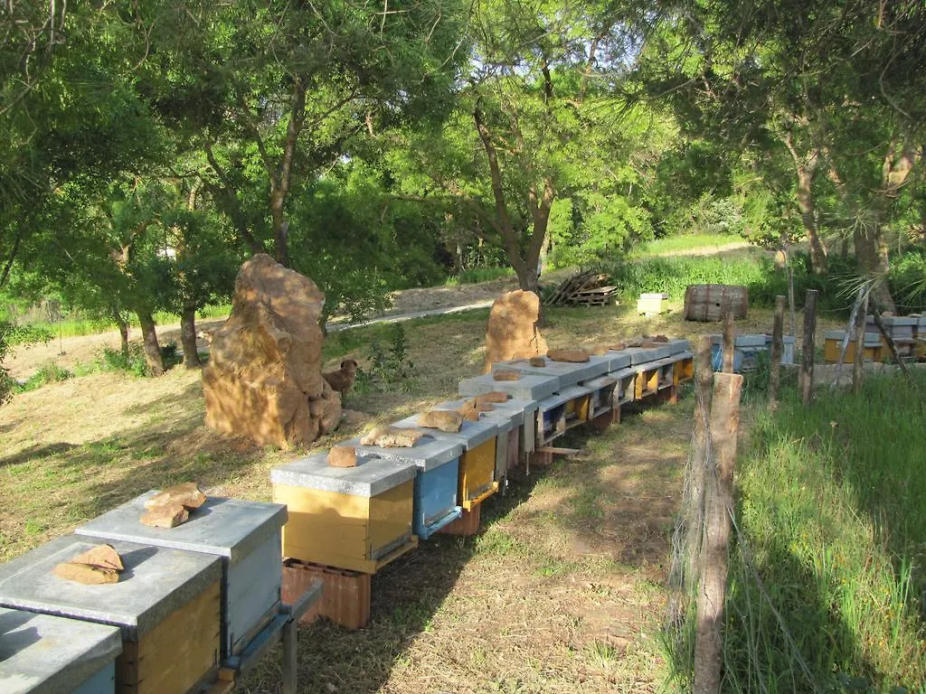La Manna Di Zabbra Casa de hóspedes Pollina 0*,  Itália